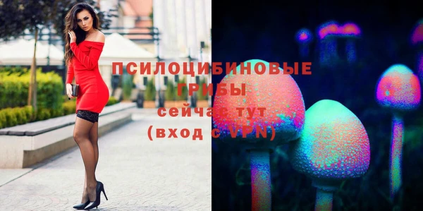 MESCALINE Нефтекумск