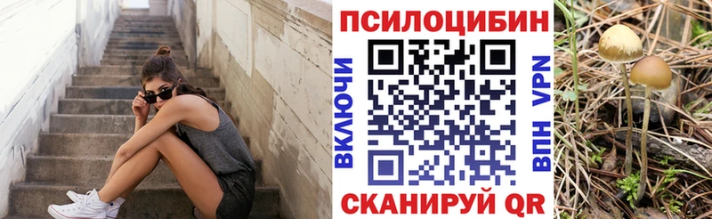 Псилоцибиновые грибы MAGIC MUSHROOMS  KRAKEN ССЫЛКА  Приволжск 